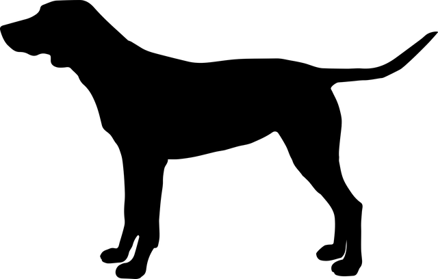 Schulhunde